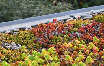 the cost of Tarvin Sands green roof installation