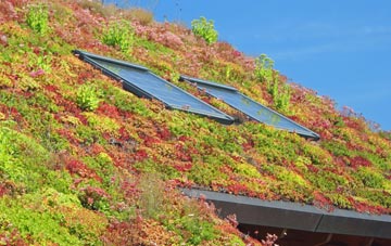 Tarvin Sands living roof systems